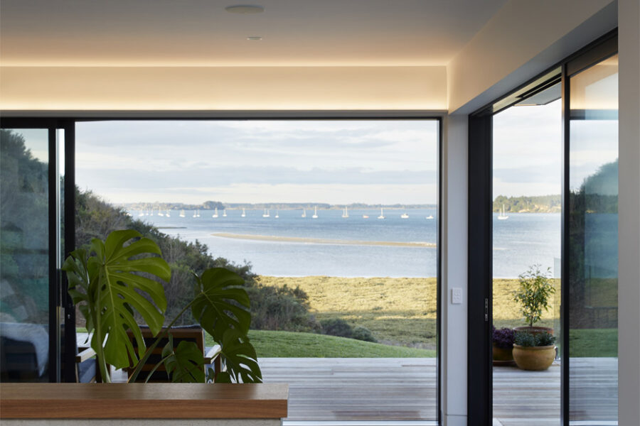 Dado Dave in living area