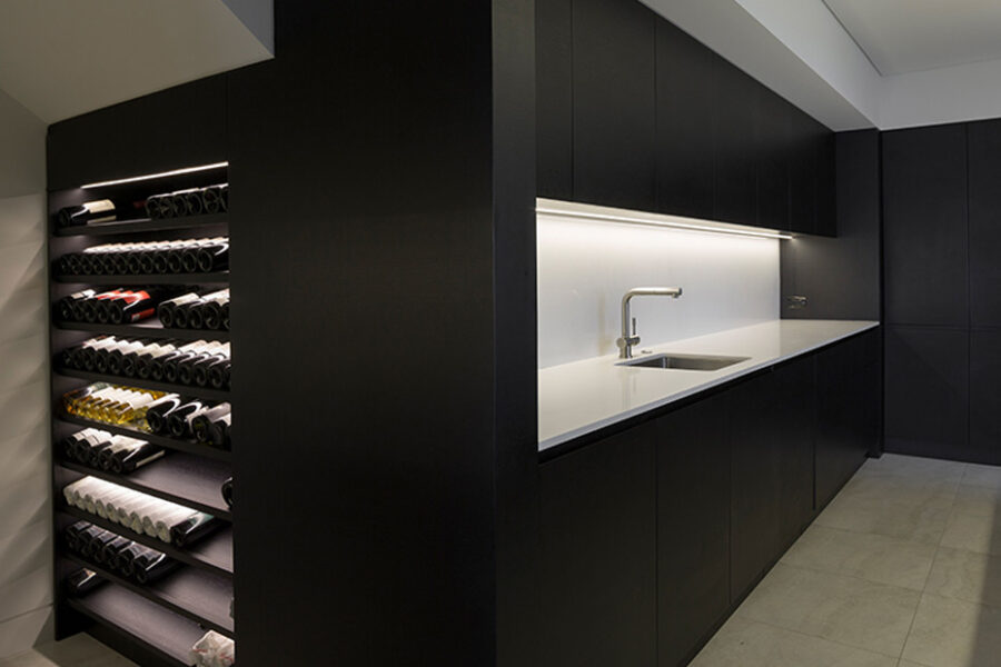 Downhill Dan in the cellar